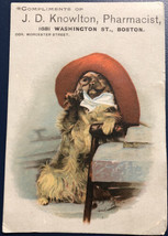 Clobe Dyspepsia Powder Quack Medicine Victorian Trade Card Anthropomorphic Dog - £15.52 GBP