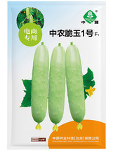 Zhongshu® JWhite Jade No.1 Cucumber F1 Seeds - $163,379.00