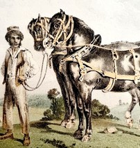 Arden Horses Harnessed Victorian 1856 Art Lithograph Print Antique Natur... - $29.99
