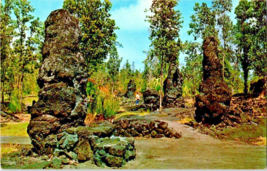 Postcard Hawaii Island Lava Trees State Park 5.5 x 3.5 ins. - £4.67 GBP