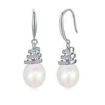 Elegant Radiance: New S925 Sterling Silver Drop Earrings with Cubic Zirconia Sta - £27.42 GBP