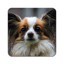 2 PCS Dog Papillon Coasters - £13.50 GBP