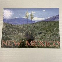 Postcard Beautiful Yucca New Mexico USA North America - £5.86 GBP