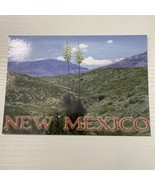 Postcard Beautiful Yucca New Mexico USA North America - $7.37