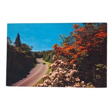 Postcard Flame Azalea And Mountain Laurel On The Blue Ridge Parkway NC Chrome - £6.87 GBP