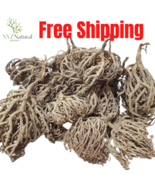 Flowers of Maryam kaf maryam Anastatica hierochuntica عشبة كف مريم - $25.79 CAD+