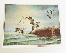 David Maass Wilderness Wings Color-Etch Prints Portfolio Set of 4 Game Birds  - £20.09 GBP
