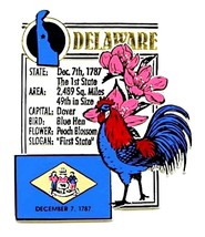 Delaware The First State Montage Fridge Magnet - $6.99