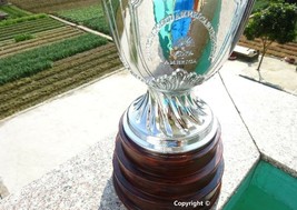 Copa America Championship Cup 1:1 Trophy Prize Resin Replica Real Life Size DHL - £290.27 GBP