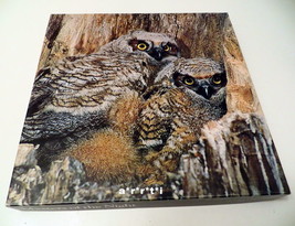 Springbok Masters of the Night Great Horned Owls 1970&#39;s Complete HTF - £41.01 GBP
