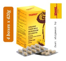 ORGANIC TIGERUS Tiger Milk Mushroom Sclerotia 4 boxes x420g- shipment by... - $317.60