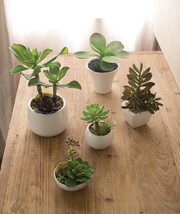 Set Of 5 Realistic Artificial Faux Botanica Succulents In Ceramic Mini Pots - £64.09 GBP