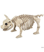 Pig skeleton - €44,69 EUR