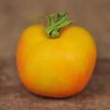 30 Garden Peach Tomato Seeds 2024 ~ NON-GMO - £7.97 GBP