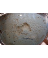 our live SOURDOUGH STARTER yeast San Francisco BEAST+ RECIPES10 starters... - $10.71 CAD