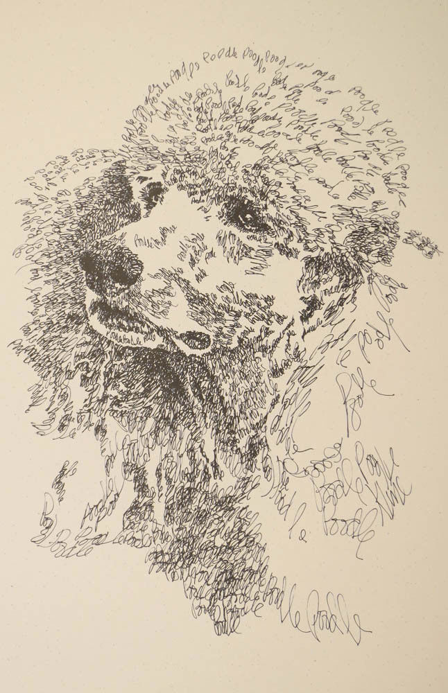 Standard Poodle Dog Art Portrait Print #195 Kline adds your dogs name free. GIFT
