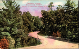 Vtg Postcard Cascadilla Bridge, Cornell University Entrance, Ithaca N.Y. - $5.57