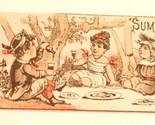 Victorian Trade Card St Jacob&#39;s Oil Summer Friends having A Picnic VTC 5 - $6.92