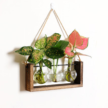 Hydroponic Wooden Frame Glass Vase, Wall Tabletop Plant Vase, Home Decor - £21.23 GBP