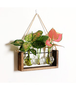 Hydroponic Wooden Frame Glass Vase, Wall Tabletop Plant Vase, Home Decor - £21.32 GBP