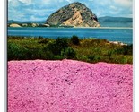 Morro Bay View From Baywood California CA UNP Chrome Postcard S23 - £3.91 GBP