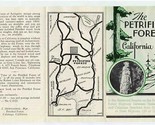 The Petrified Forest of California Brochure 1940&#39;s Redwood Empire - $13.86