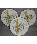 Set (3) Midwinter RANGOON PATTERN Dinner Plates MADE IN ENGLAND - $1,273.22 MXN