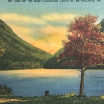 Poconos Pennsylvania Vintage Postcard Mountain Linen Colorful - $9.96