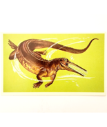 1975 MESOSAURUS Dinosaur Card Vintage Prehistoric Illustration Ephemera ... - $368.02 MXN