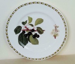 Vintage  Queen&#39;s Horticultural Society Art by Hooker Salad Plate Cherry - £8.70 GBP