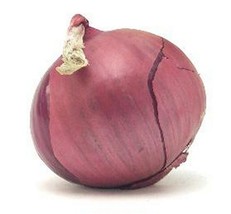 GIB Onion Red 200 Seeds - $9.00