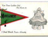 Dutch Pennant Comic Greetings From Montgomery Indiana IN 1914 DB Postcar... - £4.94 GBP