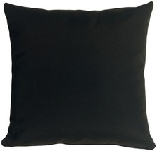 Sunbrella Black 20x20 Outdoor Pillow, Complete with Pillow Insert - £45.18 GBP