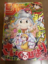 Weekly Shonen Jump Manga Issue 24 2024 - $26.45