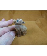 (Y-COY-3) gray tan COYOTE wolf wild dog carving SOAPSTONE stone PERU FIG... - $11.91 CAD