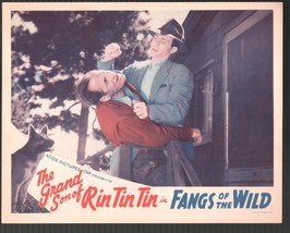 Fangs of the Wild 11&quot;x14&quot; Lobby Card Rin Tin Tin Jr Dennis Moore Tom London - $48.50