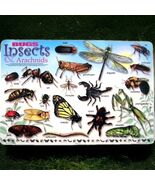Painless Learning:  Bugs Insects &amp; Arachnids Placemat - $181.63 MXN