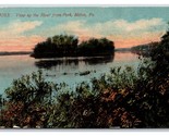 River View From Park Milton Pennsylvania PA DB Postcard P23 - £3.89 GBP