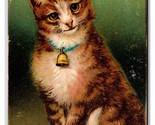 Adorable Cats Big Eyes Bell Collar 1910 DB Postcard B18 - $7.87