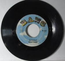 Grand Canyon 7&quot; Vinyl Record Evil Boll-Weevil b/side Got To Find My Way Back - £3.99 GBP