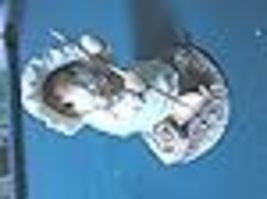 Item image 15