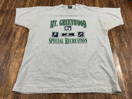 VTG Mount Greenwood, IL Special Recreation Men’s Gray T-Shirt - XL - £2.77 GBP