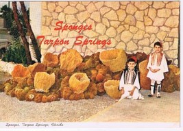 Florida Postcard Tarpon Springs Greek Boys With Sponges - $4.94