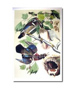 John Audubon Birds Painting Ceramic Tile Mural BTZ00307 - $329.33 CAD+