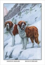 Two Saint Bernards by Louis Agassil Fuertes - Art Print - £17.29 GBP+