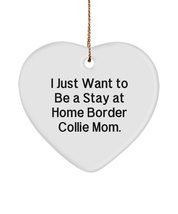 Brilliant Border Collie Dog Gifts, I Just Want to Be a Stay at Home Border, Inap - £13.35 GBP