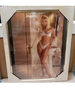Framed Playboy Bunny Picture 1993 16&quot; x 20 1/2&quot; OSP Publishing NIB #82241 - $471.36 MXN