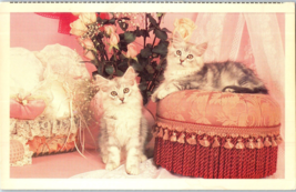 Vintage Kittens On Cushioned Foot Stool Cat Postcard - £5.19 GBP