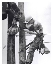 &quot;Kiss Of Life&quot; Lineman Reviving Fellow Worker 1968 Pulitzer Winner 8X10 Reprint - £6.89 GBP