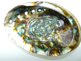 UNUSUAL! Giant Outstanding Iridescent Natural Abalone Pearl-Mother-looking Shell - $50.60